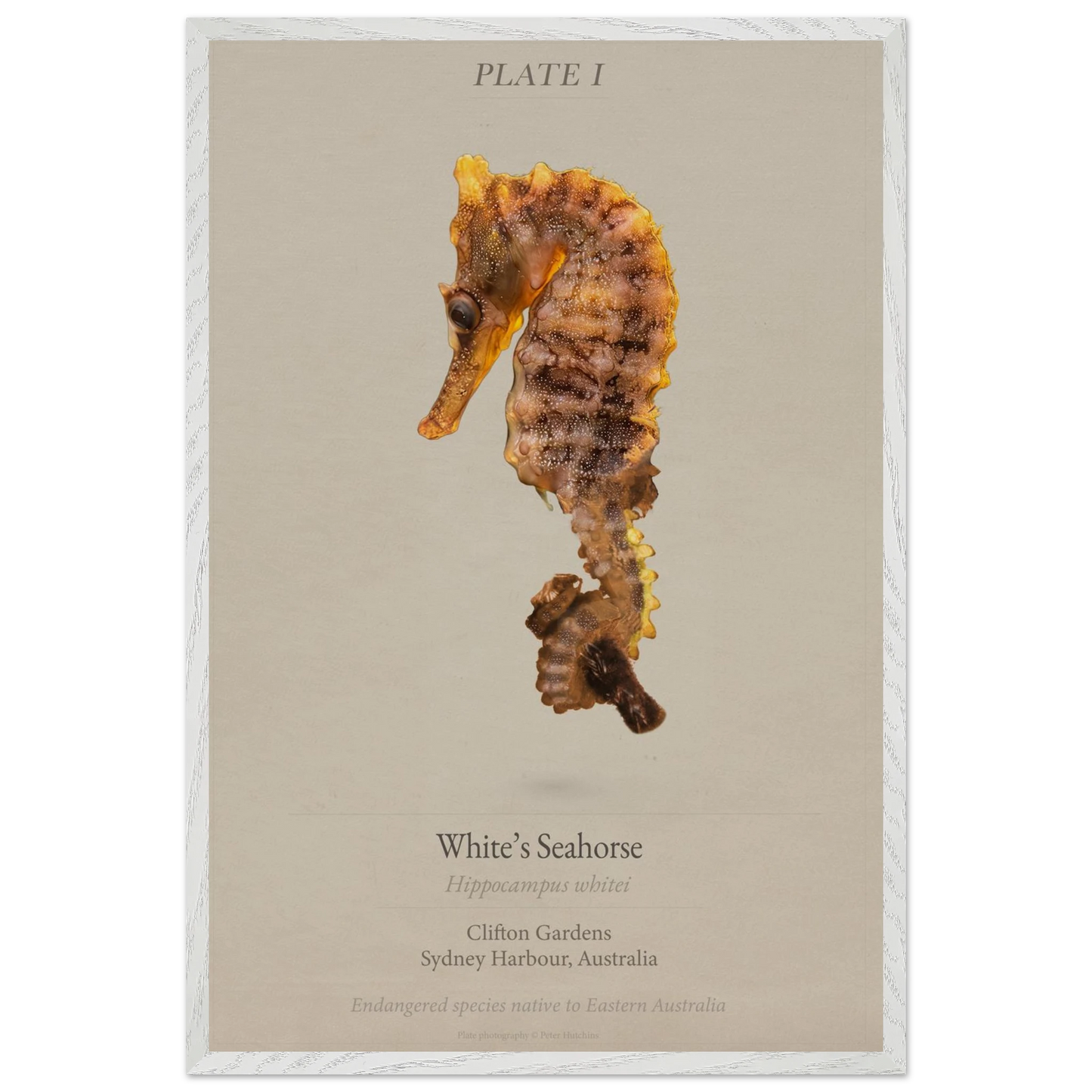 a9a4f217-12cf-4777-a015-f54b04ae5548