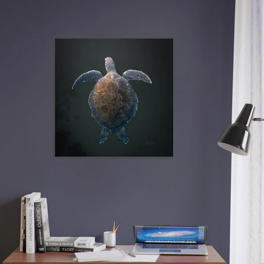 b88ab771-cbef-4dbe-a466-32371b91a435