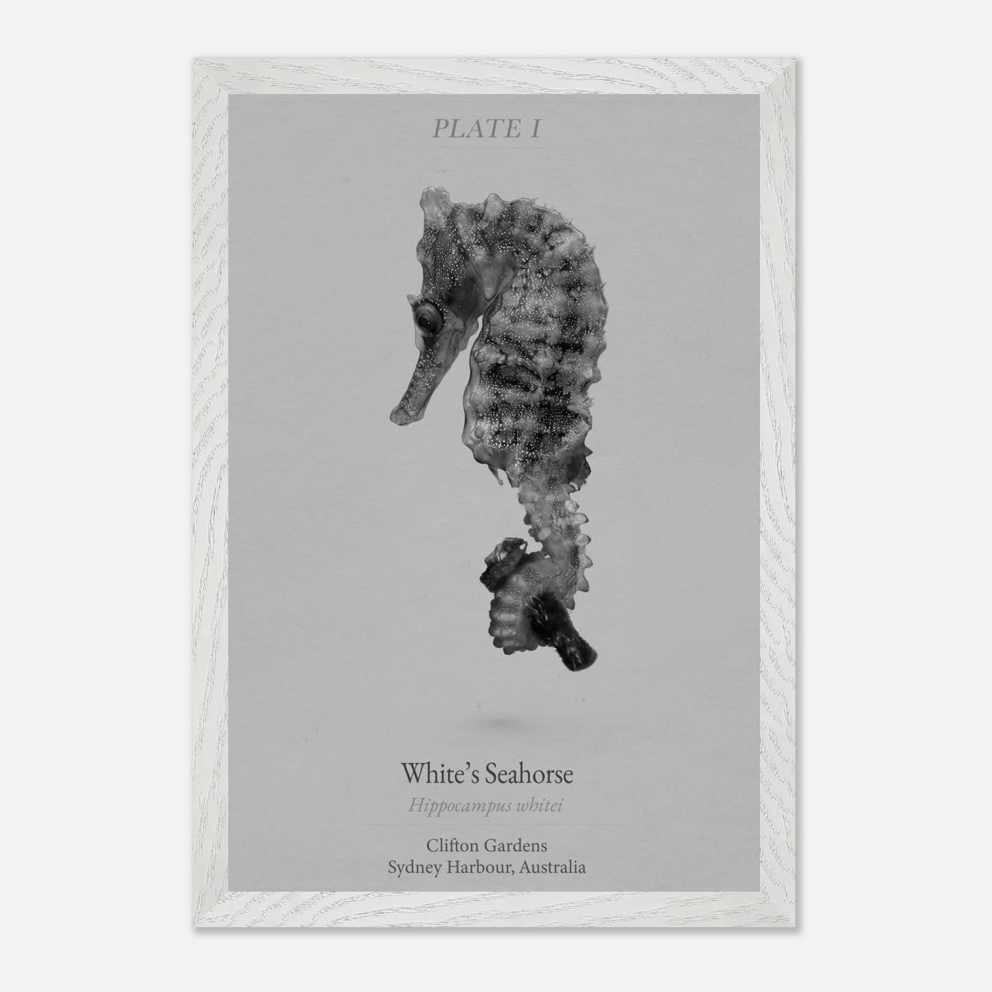 ba312c5b-5ecb-4c74-97c3-07a6dc86ea9b