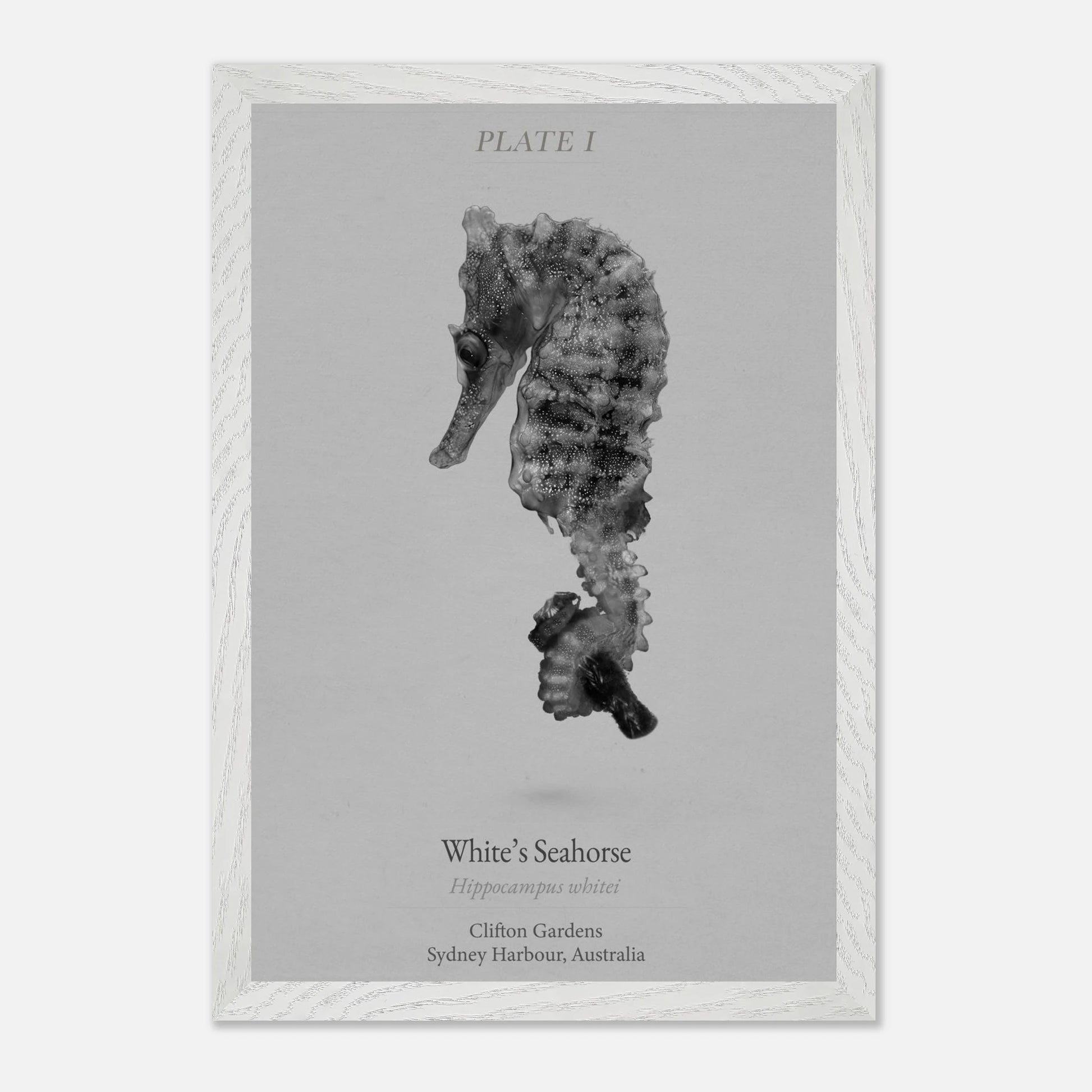 ba312c5b-5ecb-4c74-97c3-07a6dc86ea9b