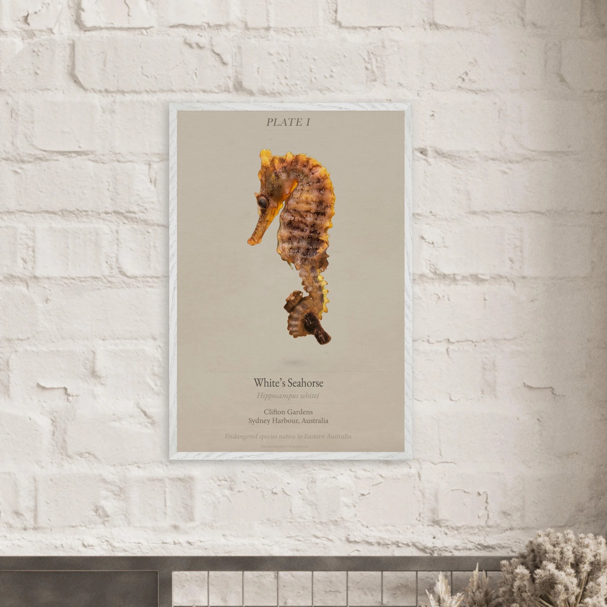 cae7831c-cd55-49ae-b89c-9d436f4e45f3