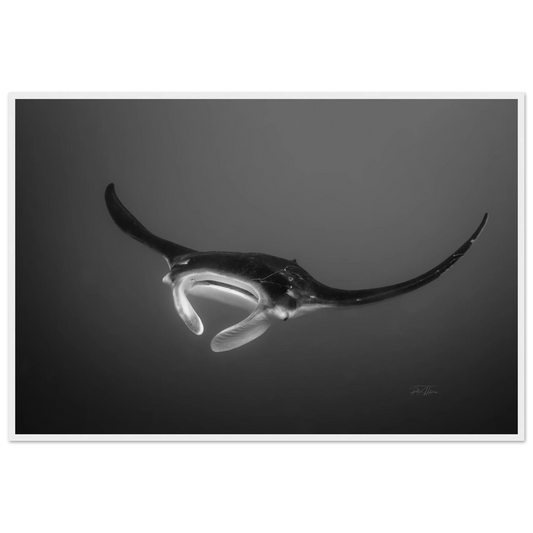 d19a3805-957b-40b9-b8b8-fb491ada3fbc