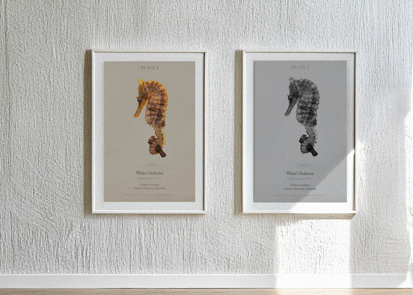 dccb0065-70ab-487e-a5bb-357444e0c341