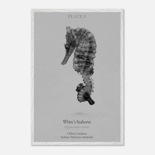 e558bae0-3634-4b46-bec9-a7a37cdf5957